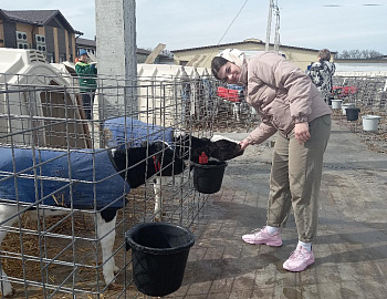 Воспитанники Березанской школы-интерната и Выселковского СРЦН посетили молочную ферму