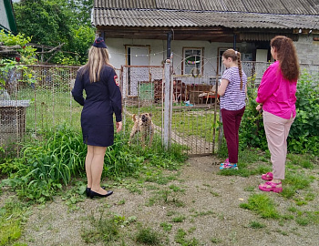 � ������ ������� ���� ������������ ���������� ����������������� �����������