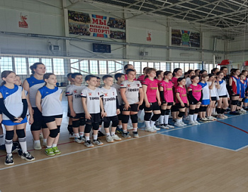 � ���������� ������ ������������ ��������� ����������� � ��� �������� �������