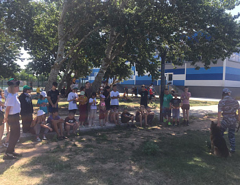 ���������� ����� ����� � ������ � ���������� ������ ���������� ���� ������