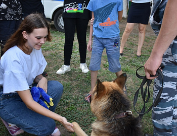 � ����-��������� ������ ������������ ���������� ����� ���������� ������