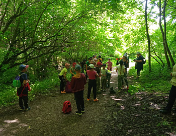 � ���������� ������ ����������� ����������� ����� �� ������������ ������� ������